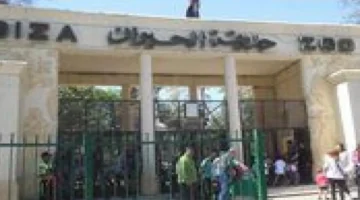 تفاصيل الافتتاح.. خطة ربط حديقة الحيوان بالجيزة بحديقة الأورمان 2026